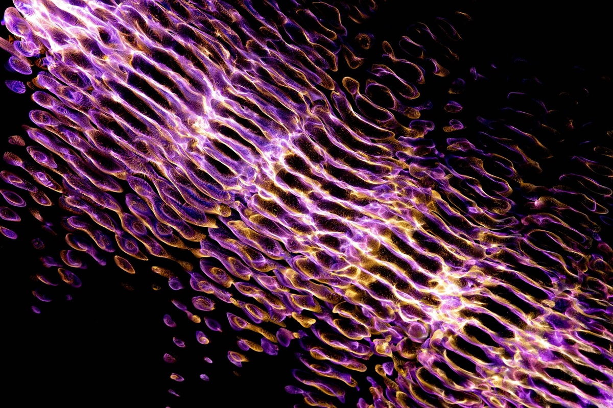 Dôchodkové poistenie: systém zabezpečenia príjmu v starobe
