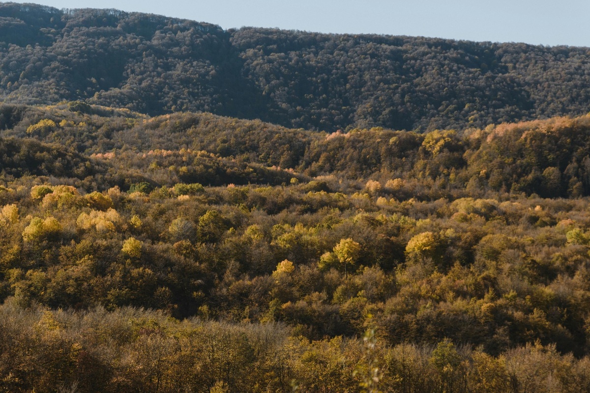 Vianočné tradície na škandinávskom polostrove: spoločné korene a jedinečné zvyky