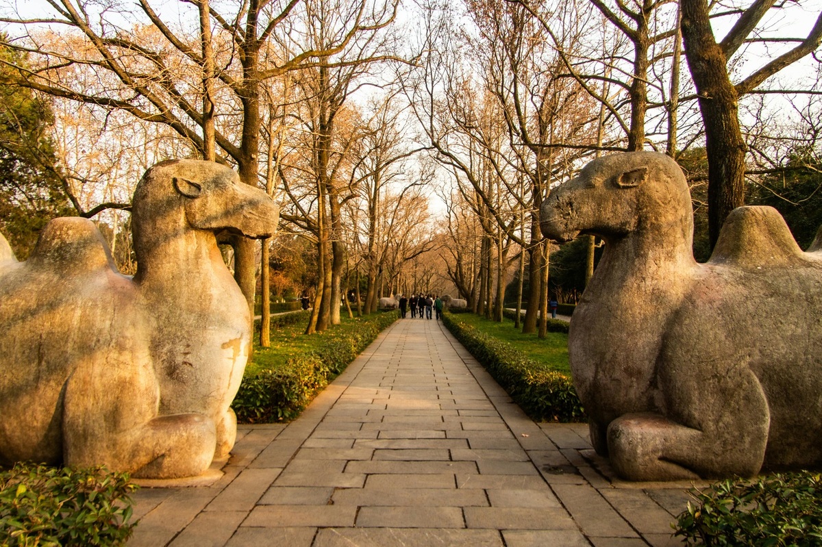 Environmentálne dopady potravín a zodpovedné stravovanie